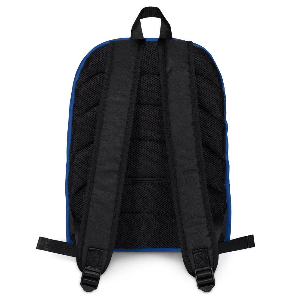 FGCU Backpack